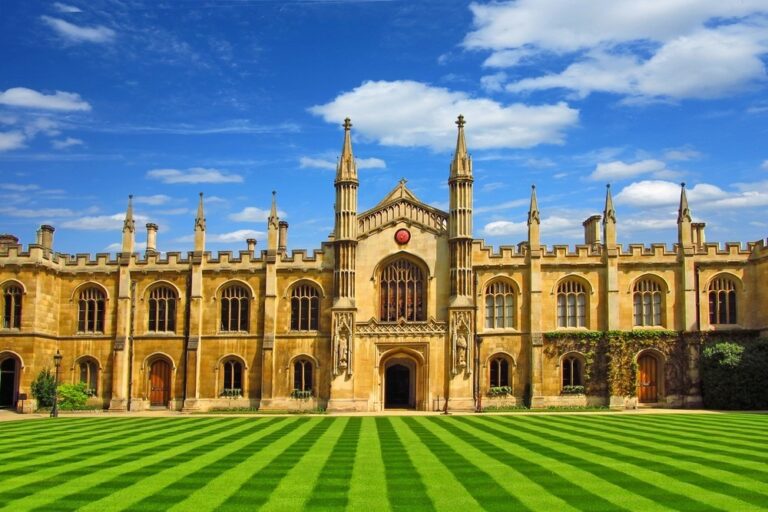 Study Abroad Consultant in Bangalore